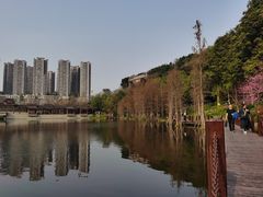 -重庆彩云湖湿地公园