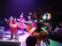 -珠海横琴长隆《卡卡虎奇遇记》