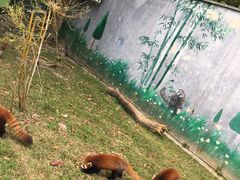 -东部华侨城