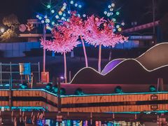 -国色天乡三期陆地乐园