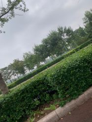 -HEYAN长风荷妍专业脱毛美肤
