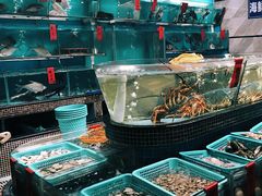 水产区-海大大蒸汽海鲜餐厅·粤菜·特色小炒(欢乐颂店)