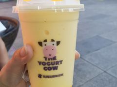 芒果奶昔-一只酸奶牛(八一路店)
