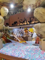 -卡通尼·Safari非洲探索乐园·生日会(金桥国际商业广场店)