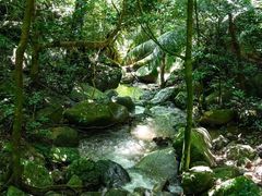 -七仙岭温泉国家森林公园
