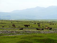 -新疆那拉提国家旅游度假区