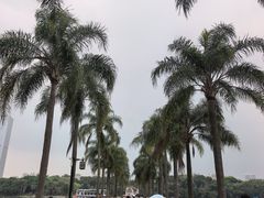 -南宁南湖公园