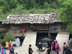 -九寨沟-树正沟