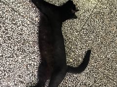 -储奇门鳝鱼火锅(总店)