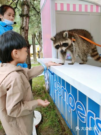 抓住假期的小尾巴，与小动物亲密接触