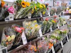 -鹿岛生活(熙地港店)