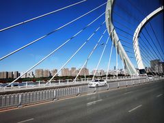 -长白岛森林公园