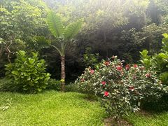 -云溪植物园