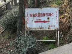 -雨花胜境