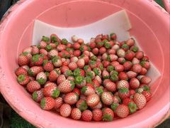 -南坛综合农贸市场