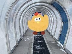-中旅松花湖滑雪场