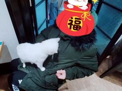 -猫色咖啡·猫咖