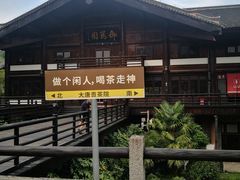 -大唐贡茶院