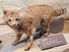 -青藏高原自然博物馆