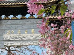 -宝墨园景区