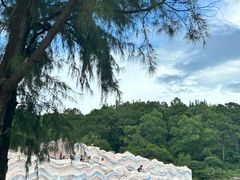 -广东惠东海龟国家级自然保护区