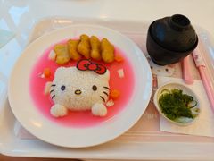 -安吉Hello Kitty乐园