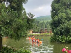 -武陵山森林公园