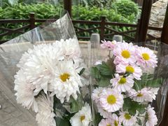 -上海鲜花港