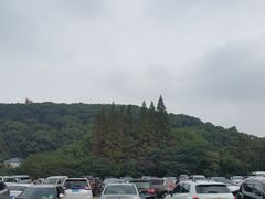 -上海佘山国家森林公园东门地面停车场