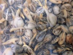 -宾朋海鲜特色美食餐厅·纯手工鲅鱼水饺(兴海路店)