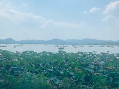 -湖畔居茶楼(湖滨店)