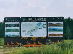 -御道口草原森林风景区