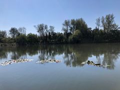 -溱湖国家湿地公园