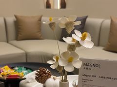 -木兰逸•泰式按摩•头疗•SPA(车公庙店)