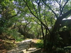 -云洞岩风景区