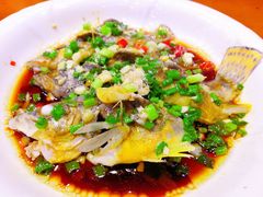 -全乐鱼馆·淳牌有机鱼直营店