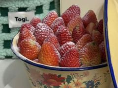 -摩尔森林·蛋糕烘焙·甜品自助(三牌楼店)