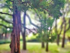 -上海虹桥迎宾馆