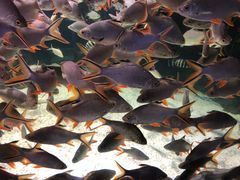 -多彩贵州城极地海洋世界