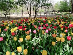 -长春公园(普阳街道)