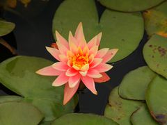 -宁波杭州湾国家湿地公园