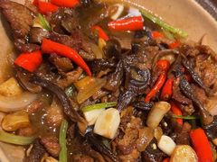 -杨氏青龙虾·羊蝎子(珠江路店)