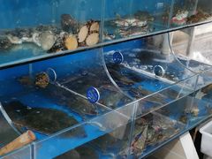 -宾朋海鲜特色美食餐厅·纯手工鲅鱼水饺(兴海路店)