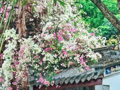 -深圳国际园林花卉博览园