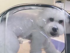 -宠颐生嘉德动物医院