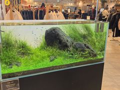 -阪急百货店(梅田总店)