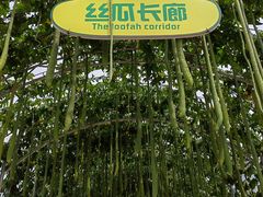 -北戴河集发农业梦想王国
