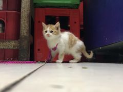 -老丘丘(较场口店)