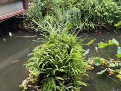 -大妙火锅·非物质文化遗产(东湖公园店)