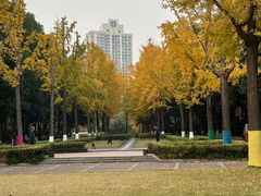 -苏州河梦清园环保主题公园